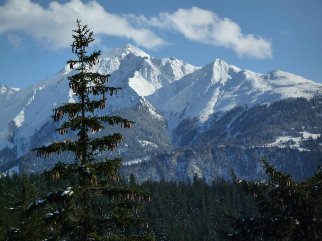 Moutain View Apartment Laax Luaran gambar